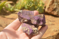 Natural Selected Rough Purpurite Specimens  x 12 From Uis, Namibia - TopRock