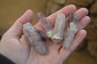 Natural Mini Amethyst Crystals  x 12 From Chiredzi, Zimbabwe