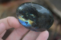 Polished Flashy Labradorite Palm Stones  x 12 From Tulear, Madagascar - Toprock Gemstones and Minerals 