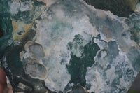 Natural Large Green Mtorolite / Emerald Chrysoprase Plates x 2 From Zimbabwe - Toprock Gemstones and Minerals 