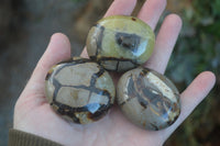 Polished Septerye (Calcite & Aragonite) Palm Stones  x 6 From Mahajanga, Madagascar - Toprock Gemstones and Minerals 