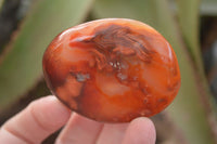 Polished  Carnelian Agate Palm Stones  x 12 From Madagascar