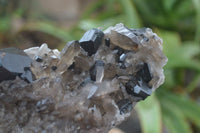 Natural Schorl Black Tourmaline & Smokey Quartz Specimens x 2 From Erongo Mountains, Namibia - TopRock