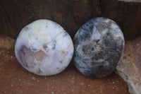 Polished Yellow Dendritic Agate Palm Stones  x 12 From Madagascar - Toprock Gemstones and Minerals 