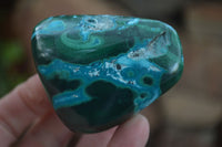 Polished Malacholla (Malachite & Chrysocolla) Free Forms  x 6 From Kulukuluku, Congo - Toprock Gemstones and Minerals 