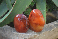 Polished Small Carnelian Agate Standing Free Forms  x 12 From Madagascar