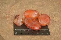 Polished Vibrant Carnelian Agate Palm Stones  x 35 From Madagascar - TopRock