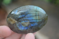 Polished Flashy Labradorite Palm Stones  x 12 From Tulear, Madagascar - Toprock Gemstones and Minerals 