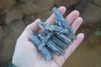 Natural Single Blue Kyanite Crystals  x 1.5 Kg Lot From Karoi, Zimbabwe