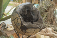 Polished Huge Septerye Sauvage "Dragons Egg" Sphere With Custom Metal Stand  x 1 From Mahajanga, Madagascar - TopRock