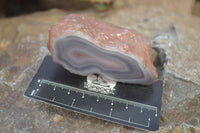 Polished River Agate Nodules  x 6 From Sashe River, Zimbabwe