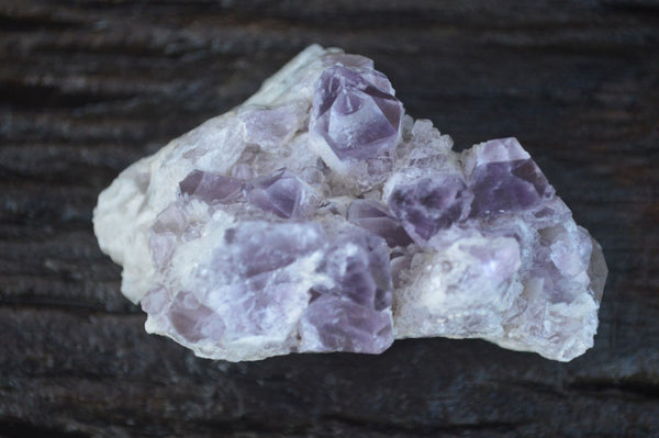 Natural Sugar Amethyst Clusters  x 6 From Solwezi, Zambia - Toprock Gemstones and Minerals 