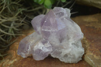 Natural Jacaranda Amethyst Clusters  x 3 From Mumbwa, Zambia - Toprock Gemstones and Minerals 