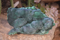 Natural Large Botryoidal Malachite Specimen  x 1 From Kolwezi, Congo