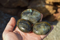 Polished Flashy Labradorite Palm Stones  x 12 From Tulear, Madagascar - TopRock