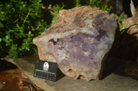 Natural Jacaranda Amethyst Cluster x 1 From Mumbwa, Zambia - TopRock