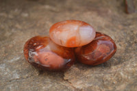 Polished  Carnelian Agate Palm Stones  x 12 From Madagascar