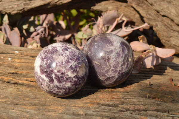 Polished Purple Mica Lepidolite Spheres  x 4 From Madagascar - TopRock