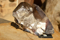 Natural Extra Large Self Healed Smokey Quartz Crystal Cluster  x 1 From Mt. Mulanje, Malawi - TopRock