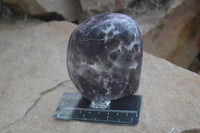 Polished Lepidolite Standing Free Forms  x 2 From Zimbabwe