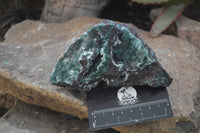 Natural Drusy Coated Ball  Malachite On Dolomite Specimens x 2 From Likasi, Congo