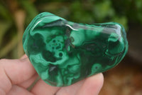 Polished Malachite Free Forms With Stunning Flower & Banding Patterns x 6 From Congo - TopRock