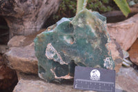 Natural Large Green Mtorolite / Emerald Chrysoprase Plates x 2 From Zimbabwe - Toprock Gemstones and Minerals 