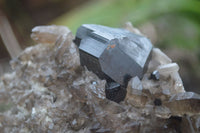 Natural Schorl Black Tourmaline & Smokey Quartz Specimens x 2 From Erongo Mountains, Namibia - TopRock