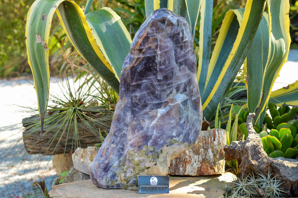 Polished XXXL Rare Purple Angelite / Anhydrite Display Piece With Chrome Diopside x 1 From Tulear, Madagascar