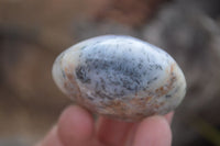 Polished Yellow Dendritic Agate Palm Stones  x 12 From Madagascar - Toprock Gemstones and Minerals 