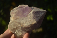 Natural Extra Large Single Jacaranda Amethyst Crystals  x 6 From Zambia - Toprock Gemstones and Minerals 