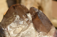 Natural Extra Large Self Healed Smokey Quartz Crystal Cluster  x 1 From Mt. Mulanje, Malawi - TopRock