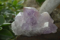 Natural Jacaranda Amethyst Clusters  x 3 From Mumbwa, Zambia - Toprock Gemstones and Minerals 