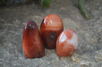 Polished Small Carnelian Agate Standing Free Forms  x 12 From Madagascar