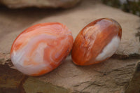 Polished  Carnelian Agate Palm Stones  x 12 From Madagascar