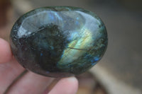 Polished Flashy Labradorite Palm Stones  x 12 From Tulear, Madagascar - Toprock Gemstones and Minerals 