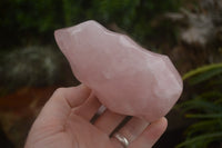 Polished Gemmy Pink Rose Quartz Flames  x 2 From Ambatondrazaka, Madagascar - TopRock