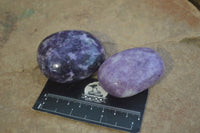 Polished Purple Lepidolite Palm Stones  x 12 From Zimbabwe