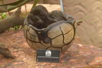 Polished Huge Septerye Sauvage "Dragons Egg" Sphere With Custom Metal Stand  x 1 From Mahajanga, Madagascar - TopRock