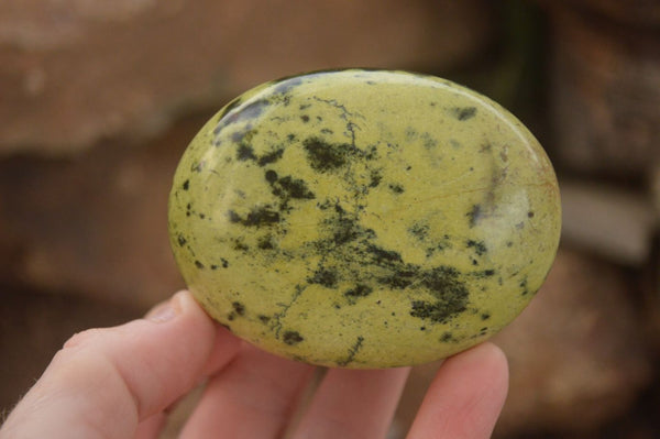 Polished  Spotted Leopard Stone Gallets  x 6 From Zimbabwe