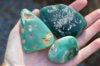 Polished Green Mtorolite / Emerald Chrysoprase Palm Stones  x 12 From Southern Africa - TopRock