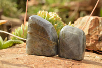 Polished Rare Purple Flash Labradorite Standing Free Forms  x 6 From Tulear, Madagascar - TopRock