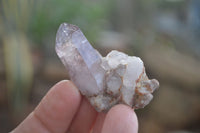 Natural Single Window Amethyst Crystals  x 12 From Chiredzi, Zimbabwe