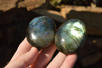 Polished Flashy Labradorite Palm Stones  x 12 From Tulear, Madagascar - TopRock