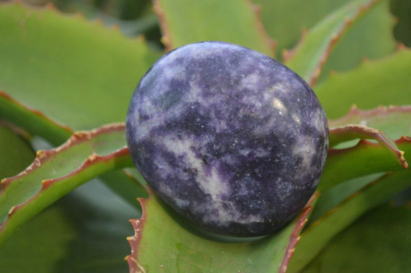 Polished Purple Lepidolite Palm Stones  x 12 From Zimbabwe