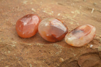 Polished Vibrant Carnelian Agate Palm Stones  x 35 From Madagascar - TopRock