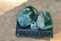 Polished Green Mtorolite / Emerald Chrysoprase Palm Stones  x 12 From Southern Africa - TopRock