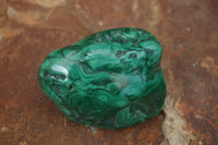 Polished Malachite Free Forms With Stunning Flower & Banding Patterns x 3 From Congo - TopRock