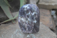 Polished Lepidolite Standing Free Forms  x 2 From Zimbabwe