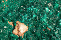 Natural XXXL Exceptional Dioptase Specimen (Second Largest In The World!) x 1 From Tantara, Congo - TopRock